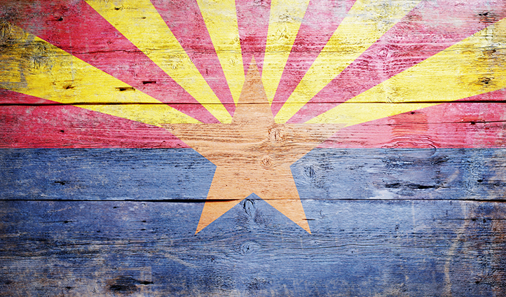 Harris v Arizona Independent Redistricting Commission﻿